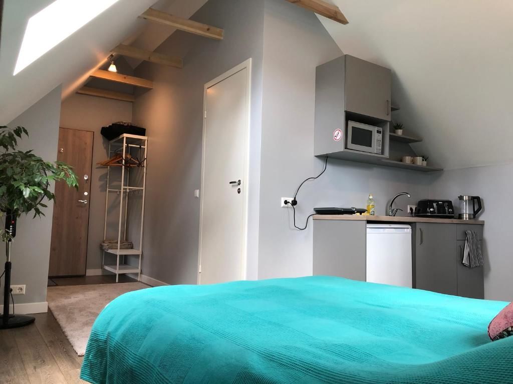 Апартаменты Green Hill Loft Studio Apartments Каунас-24